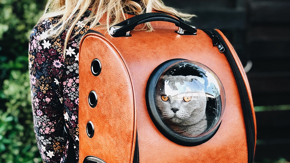 5 Best Cat Backpack Carriers 2020 Bubble Backpacks Reviews & Guide