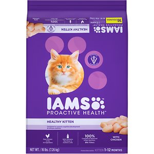 best kitten dry food