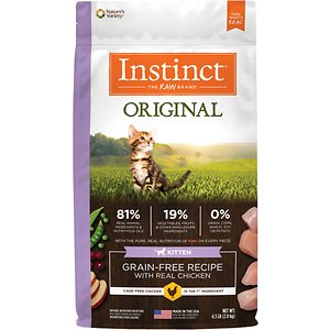 best kitten dry food