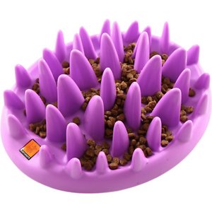 Northmate Catch Interactive Cat Feeder, Purple