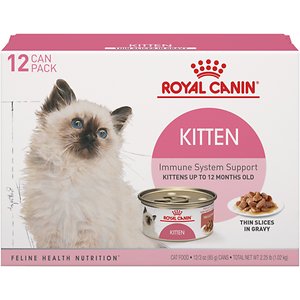 best inexpensive kitten food