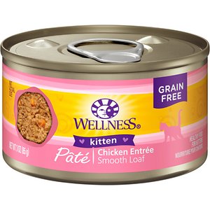 best canned cat food for cats