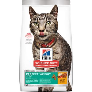 best weight control wet cat food