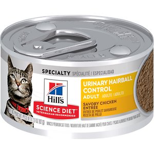 best canned cat food for constipation