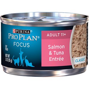 canned cat food for senior cats