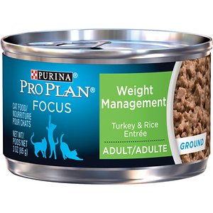 6 Best Cat Foods For Weight Loss In 2020 Reviews Analysis,Coin Dealers Near Me Open