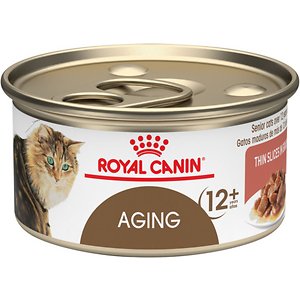 canned cat food for senior cats