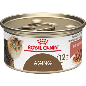 cat food for older indoor cats