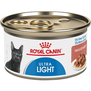 weight loss cat food