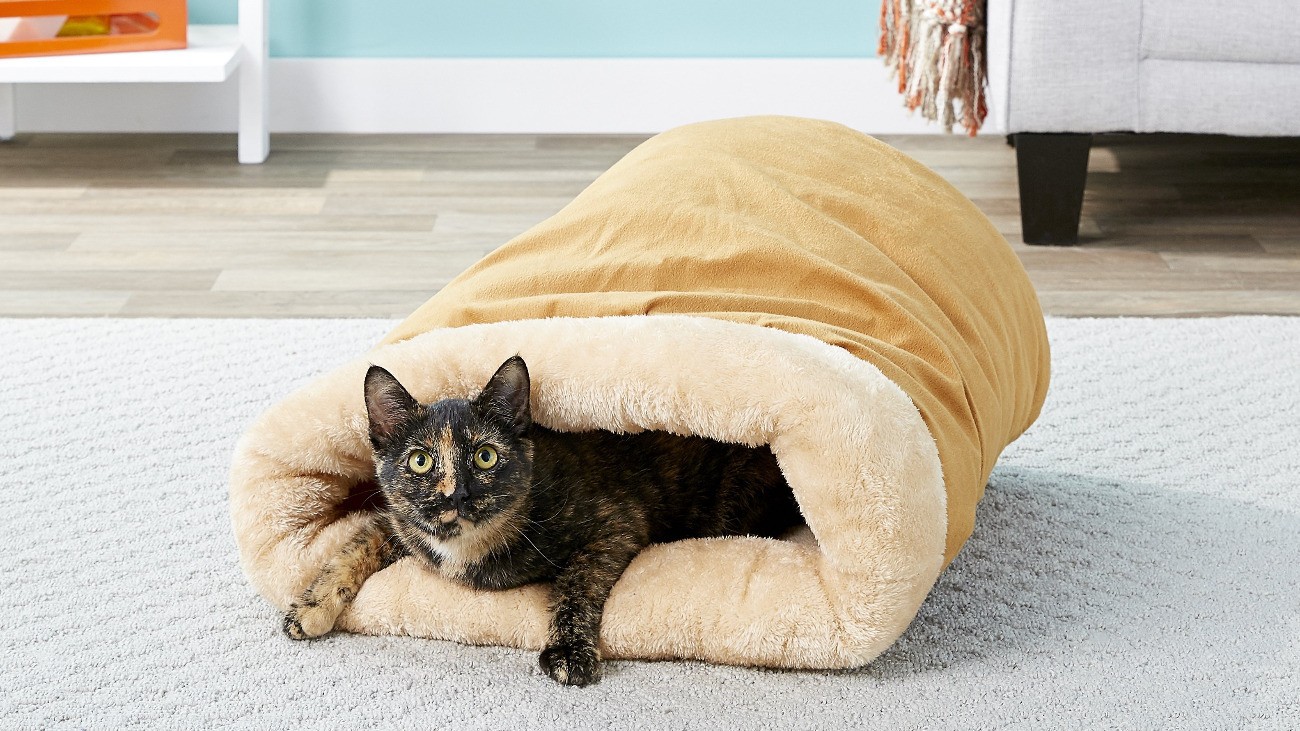 Heated Cat Beds