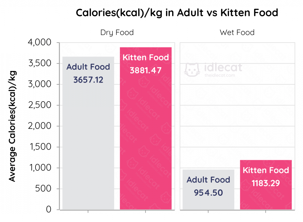 Kitten Food vs. Adult Cat Food What are the Differences?