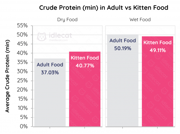 Kitten Food vs. Adult Cat Food | What are the Differences?