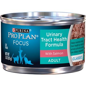 best cat food for urinary health