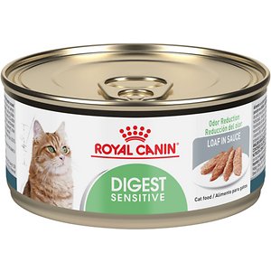 purina easy digest cat food