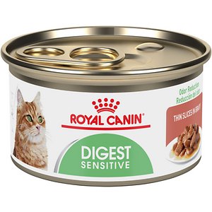 cat food for digestive health