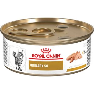 royal canin cat food for urinary problems