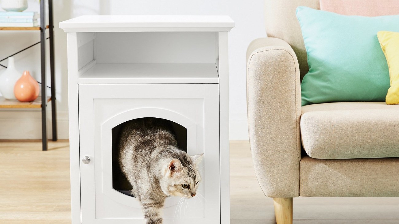 Cat Litter Box Furniture