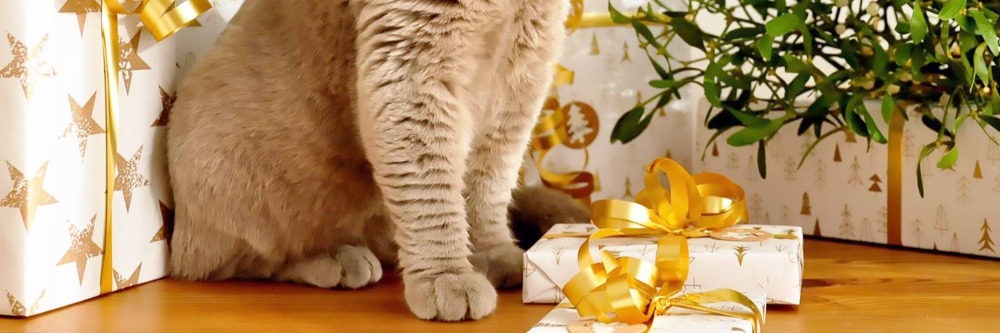 Cat Themed Gifts