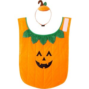 Frisco Pumpkin Cat Halloween Costume